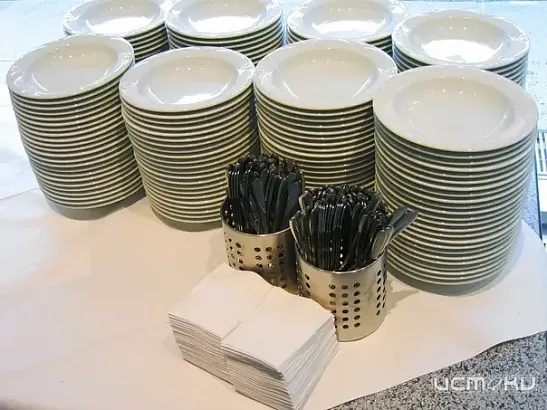 В Орле приостановлена работа двух точек общепита из-за грубых нарушений санитарных норм