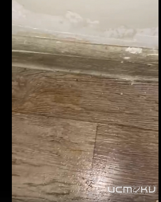 Глазами очевидцев: орловчанка показала потоп в своей квартире