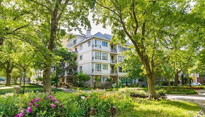 Рост сделок за наличные: доля неипотечных сделок выросла с 16,6% до 48,3%