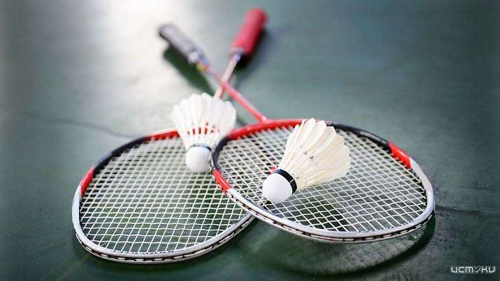 Мисуркин проведёт в Орле Всероссийские соревнования по бадминтону