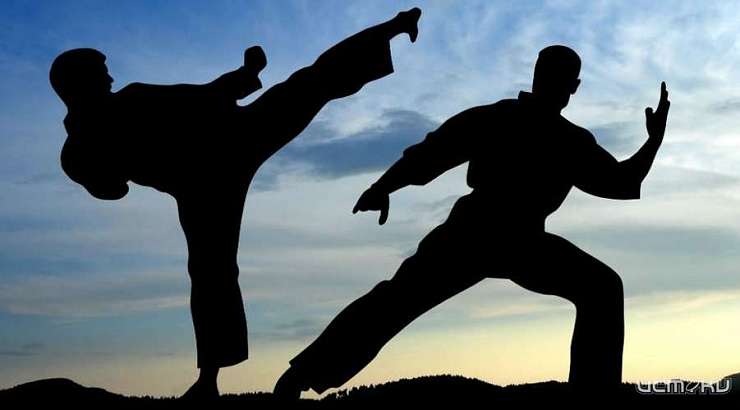 Орловский каратист завоевал две медали высшей пробы в Москве