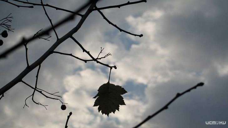 Воскресенье в Орле будет теплым и сухим