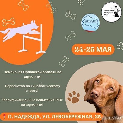 Собачьи выходные. В поселке Надежда проходят состязания для четвероногих друзей