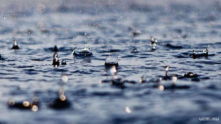 Максимум +8 °C и дожди: погода в Орле на 9 октября