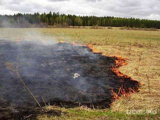 В этом году орловские пожарные более 1200 раз выезжали на возгорания сухой травы В этом году орловские пожарные более 1200 раз выезжали на возгорания сухой травы