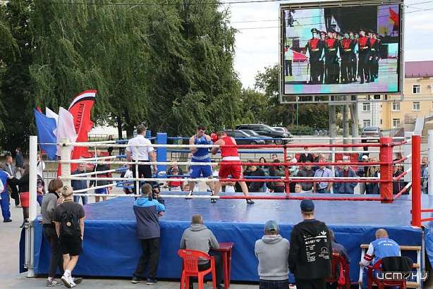 В самом центре Орла сразились мастера спорта России по боксу 