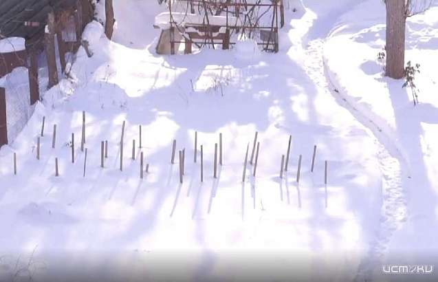 Смотрите в «Обратной связи»: стоит ли убирать снежные сугробы на огородах и в садах