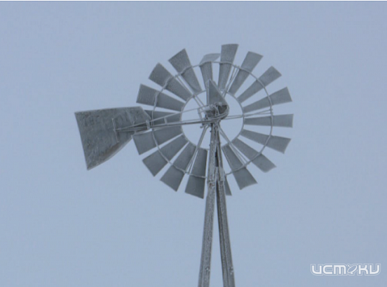 Орловчан предупредили о шквалистом ветре