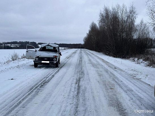Под Орлом опрокинулась «Нива». Двое человек пострадали