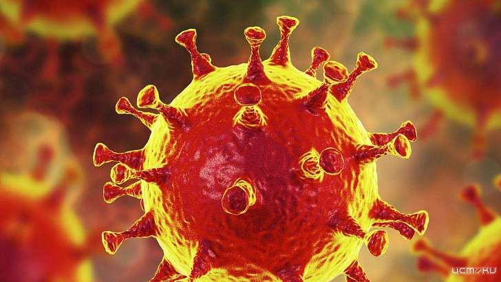 На Орловщине еще 7 человек заболели коронавирусом