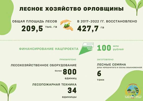 В Орловской области за последние 6 лет восстановлено 427,7 га леса