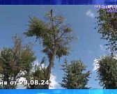 На улице Игнатова стартовали ремонтные работы. Экспресс - новости.