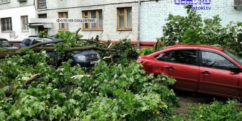 Орловским медикам пересчитали президентские выплаты, а ветер повалил деревья и повредил несколько авто