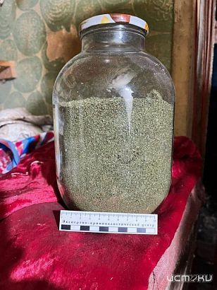 В Залегощи полицейские изъяли из незаконного оборота наркотическое вещество в крупном размере 