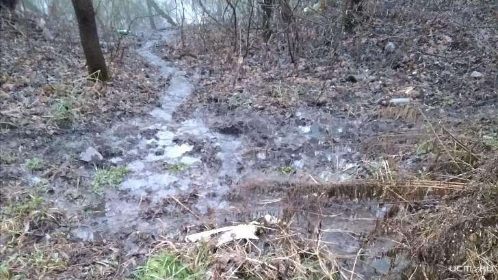 «Экологический терроризм»: под Орлом загрязняют сточными водами Оку