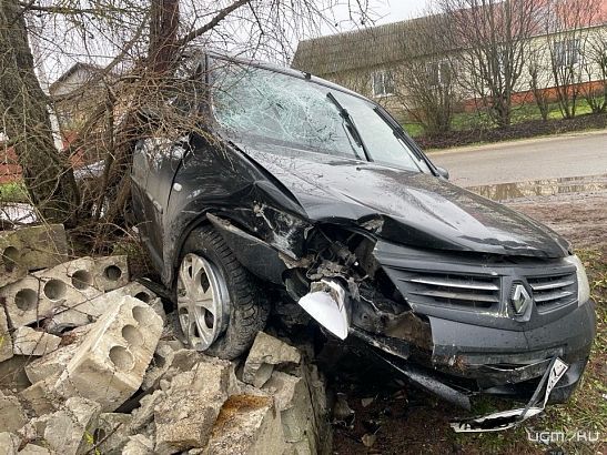 В Болхове водитель иномарки не справился с управлением и врезался в дерево