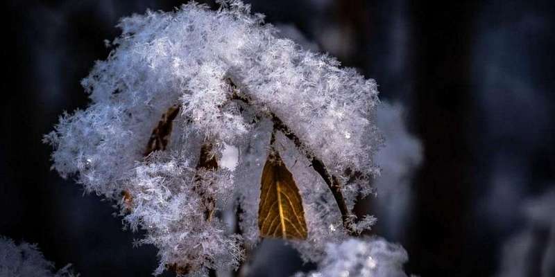 Снег и легкий морозец ждут орловчан сегодня