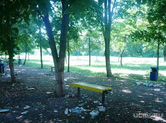 Мусор в парке на Дубровинского у Герценского моста