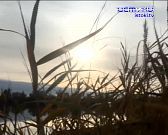 Велосипедист опубликовал видео тротуарной плитки, которая начала уходить под землю,