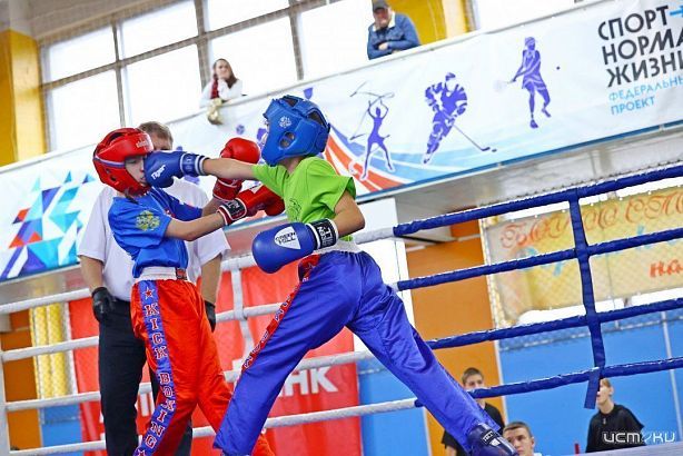 Завтра в Орле будет дан старт Кубку Орловской области по кикбоксингу 