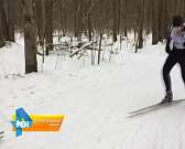 В Орле прошел 2-й этап чемпионата и первенства города по лыжным гонкам
