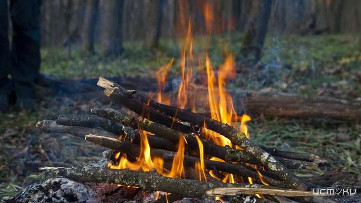 За костры в лесах орловчанам выписали вдвое больше штрафов, чем в 2018 году