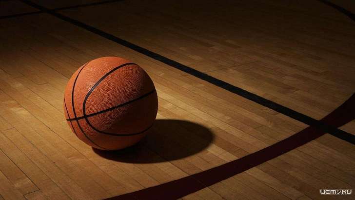 Не только лыжи, но и баскетбол: возле Медведевского леса в Орле появится ФОК