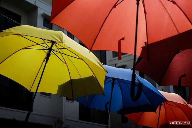 Орловчанам сегодня понадобится зонт