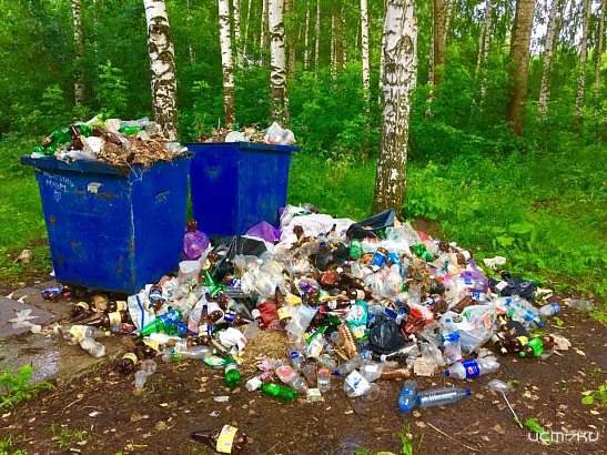 Прокуратура помогла ликвидировать свалку под Орлом Прокуратура помогла ликвидировать свалку под Орлом