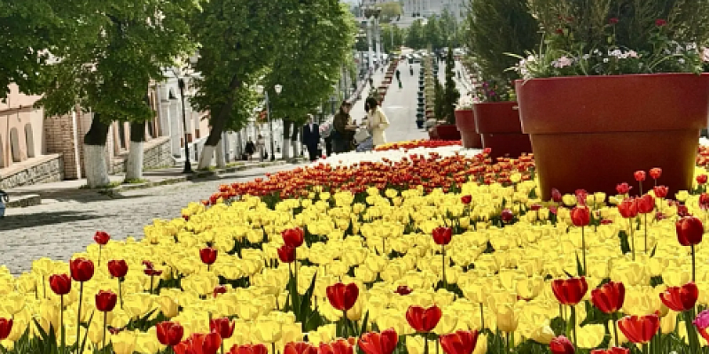 "Спецавтобаза" объявляет конкурс на лучшую фотографию своих цветов