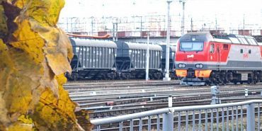 Погрузка жмыхов на железной дороге в Орловской области выросла на 23% в январе-октябре