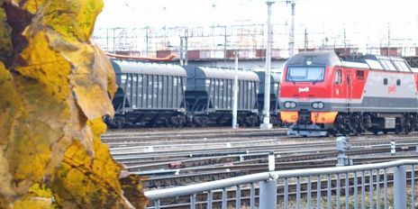 Погрузка жмыхов на железной дороге в Орловской области выросла на 23% в январе-октябре