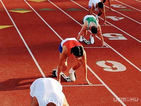 Орловские легкоатлеты выступили на кубке страны