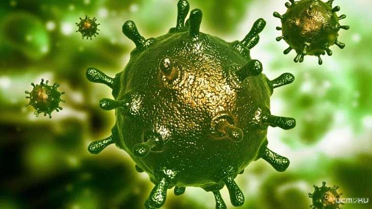 За сутки на Орловщине коронавирусом заразились ещё 162 человека