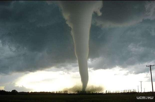 В соседней Курской области торнадо унесло жизни двух человек. Непогода обрушилась и на Орловщину