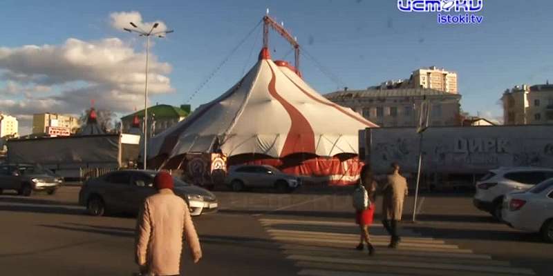 Цирковое представление в Орле едва не закончилось трагедией