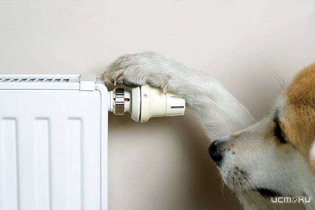 В Заводском районе Орла сегодня до вечера остались без тепла три дома и одна школа