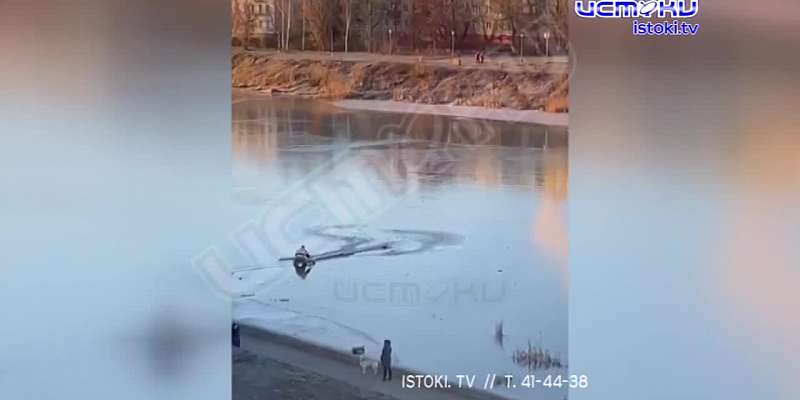 Видео: в Орле спасатели вызволили собаку из ледяного плена