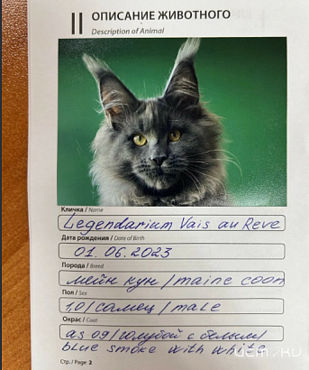 Россельхознадзор выдает сертификаты на вывоз за рубеж домашних животных.