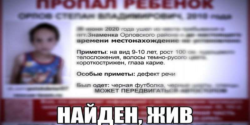 Братья-беглецы найдены в лесу: как под Орлом искали пропавших детей 
