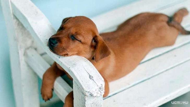 Орловчан ждут две нерабочие среды подряд