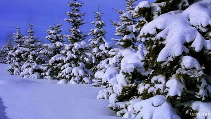 3 января будет тёплым и сухим