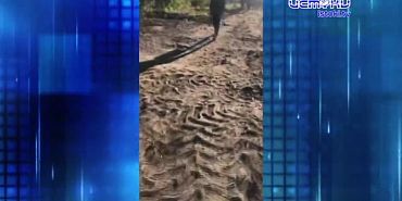 Губернатор передумал подключать обещанный вай-фай в школах