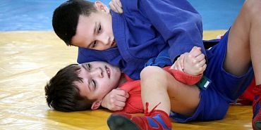 Самбисты поборются за Кубок Губернатора 