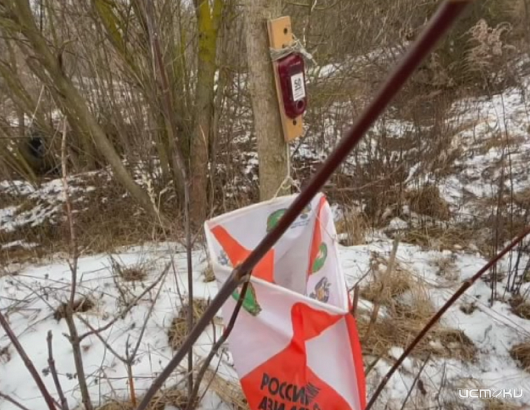 Дед Мороз сегодня наградит лучших на традиционных стартах в Медведевском лесу