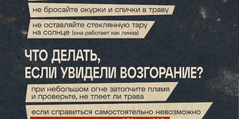 За разведение костров, сжигание сухой травы и мусора орловские нарушители заплатили штрафов на 420 тысяч рублей