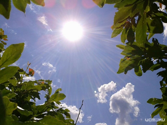 В Орловской области установилась июльская погода 