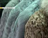 Качество, проверенное временем в Леди Гранд!