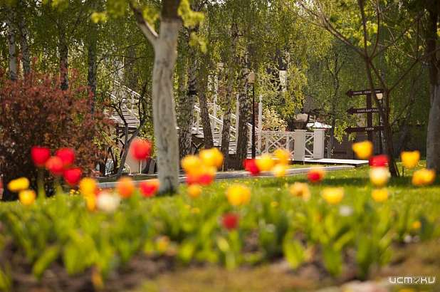 В интернете появилась информация о сливе отработанного масла к парк-отеле «Мечта»