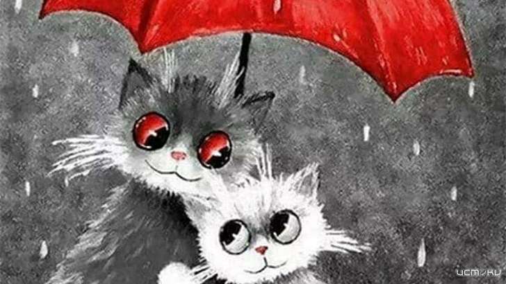 Воскресенье в Орле будет хмурым и дождливым